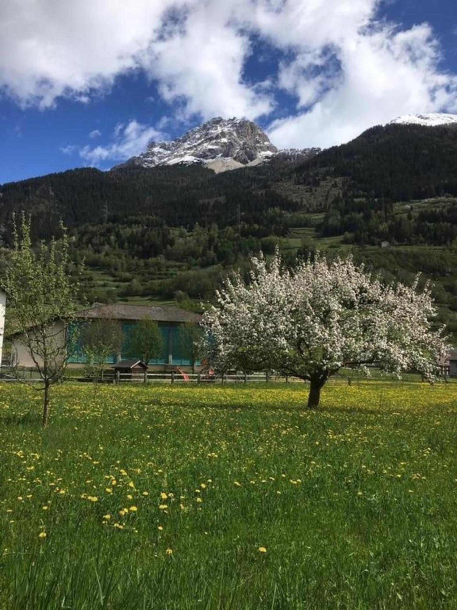 Schoene, Sonnige 25-Zimmer Parterre-Ferienwohnung Poschiavo Exterior foto