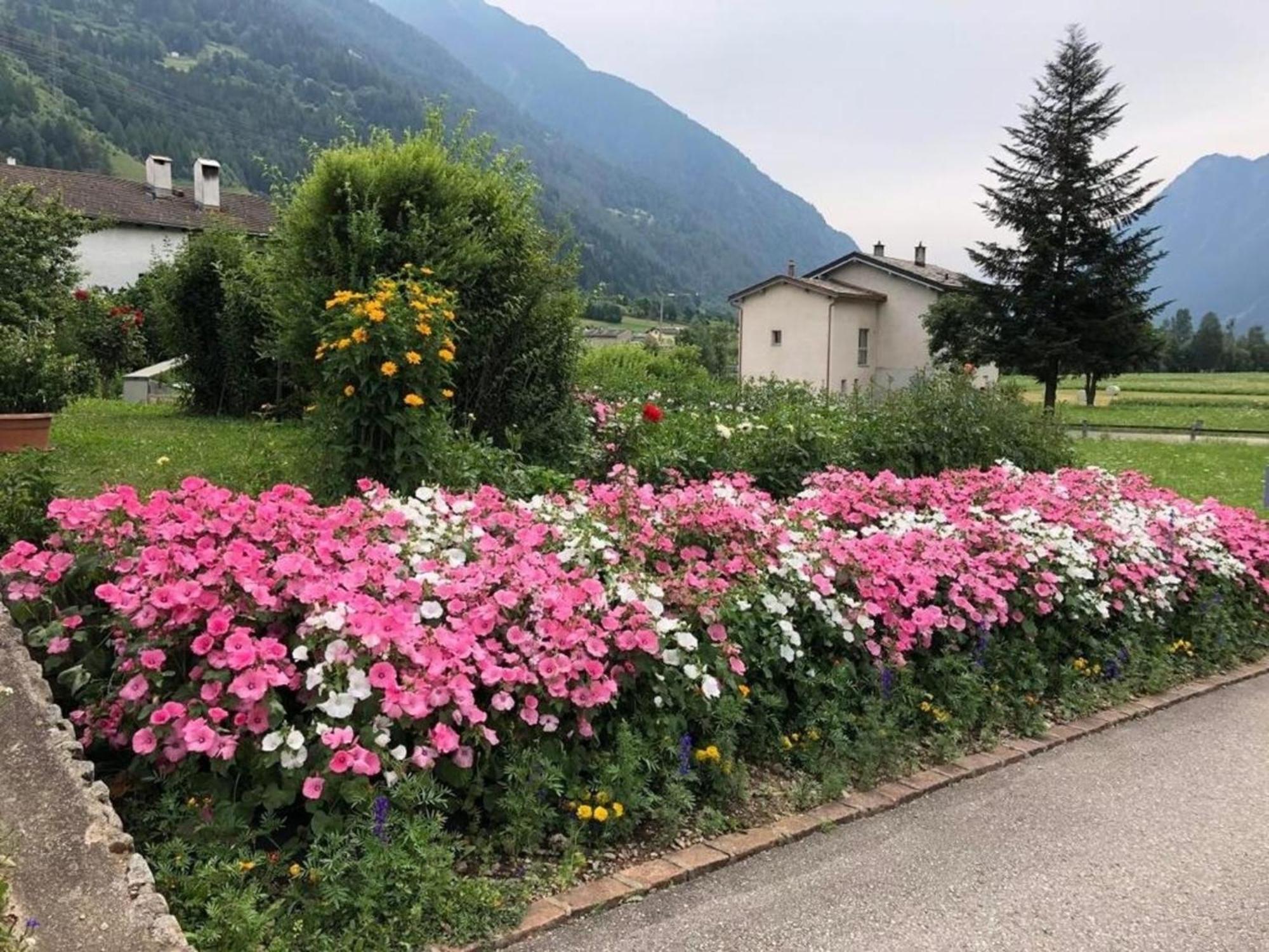 Schoene, Sonnige 25-Zimmer Parterre-Ferienwohnung Poschiavo Exterior foto